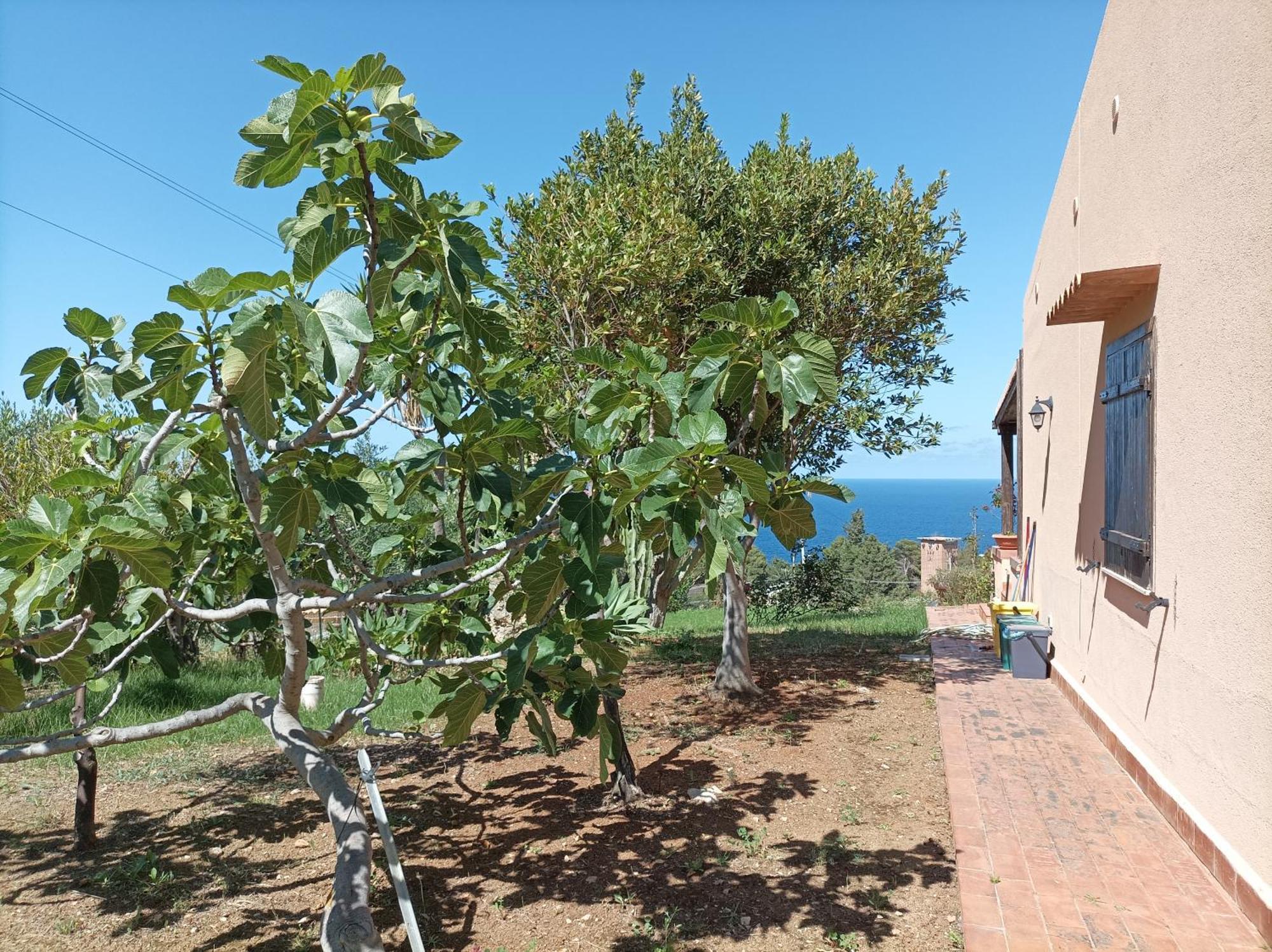 La Terrazza Su Pispisa Villa Castellammare del Golfo Ngoại thất bức ảnh